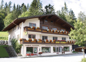 Schistube Steiner Ramsau Am Dachstein